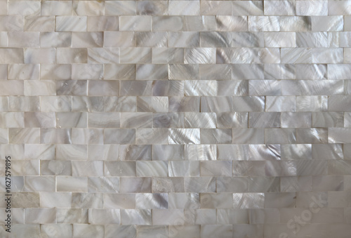 Shimmering Mother-of-Pearl Mosaic: Elegant Iridescent Wall Design