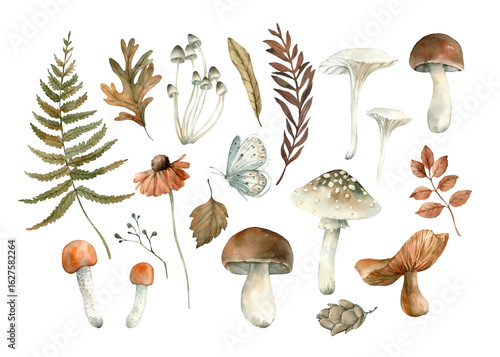 Autumn set of watercolor illustrations with forest plants. Hand drawn fern, leaves, branches, mushrooms, butterflies and flowers. Objects for design isolated on white background