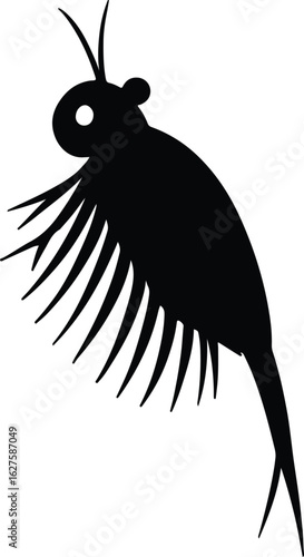 Silhouette Fairy Shrimp brine shrimp minimalistic vector illustrator