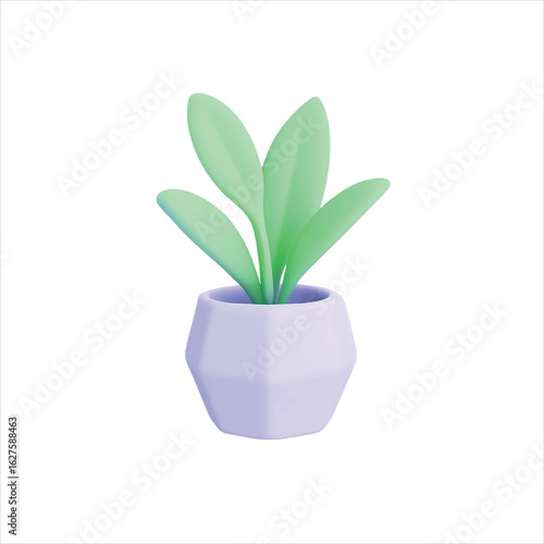 Potted rosemary plant with green foliage, growth, and leaves isolated against a white background, symbolizing home gardening and nature