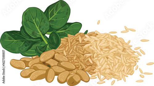 Healthy ingredients for a nutritious meal featuring brown rice spinach and peanuts on a white background