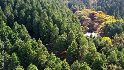 Wallpaper Mural 고성 갈모봉 드론 풍경 영상 Torontodigital.ca