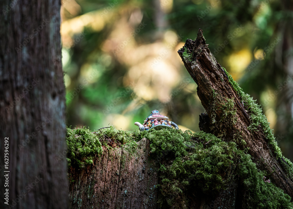 Obraz premium Teapot in the Forest – Teapot Hill, Chilliwack, BC, Magical Forest wonderland