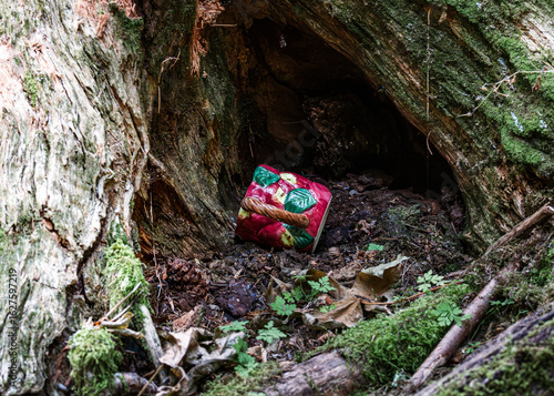 Teapot in the Forest – Teapot Hill, Chilliwack, BC, Magical Forest wonderland