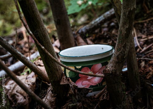 Teapot in the Forest – Teapot Hill, Chilliwack, BC, Magical Forest wonderland