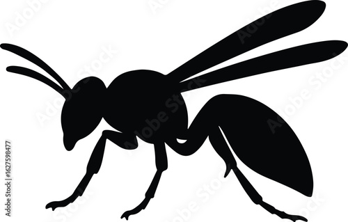 Silhouette wasp insect black flying stinging vector illustrator