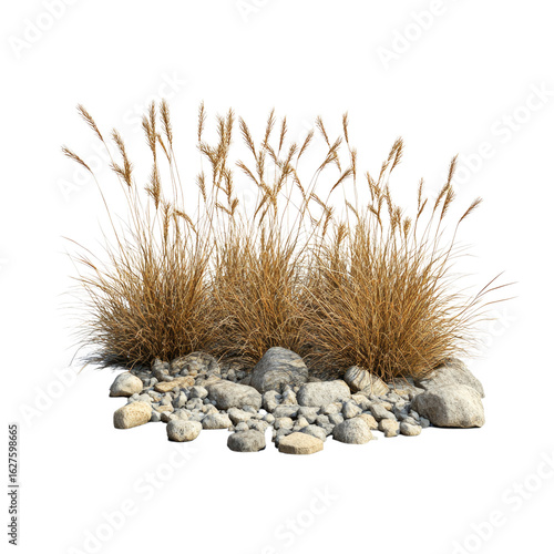 A group of brown grasses with small rocks on the ground, 3D rendering isolated on a white background, wide-angle shot