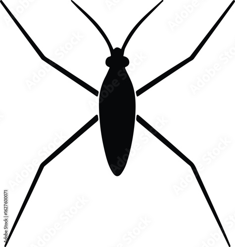 Silhouette water strider bug insect minimalistic illustration vector illustrator