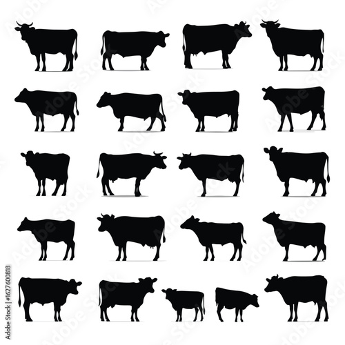 vector illustration of cows silhouette set, Black & White silhouette set 