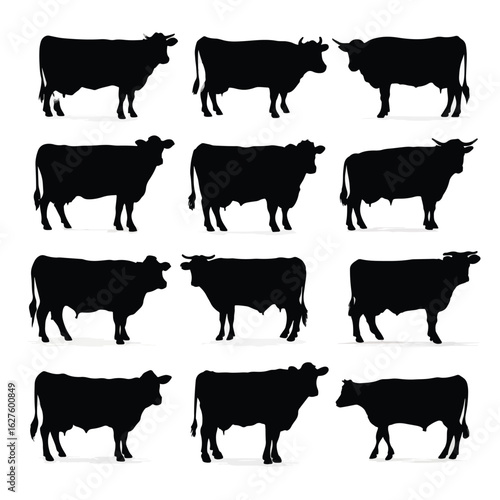 vector illustration of cows silhouette set, Black & White silhouette set 