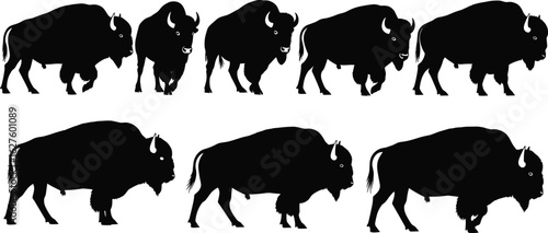 Bison silhouette set, black animal poses, grazing and walking buffalo, wildlife vector illustration, prairie creature design, nature icon collection