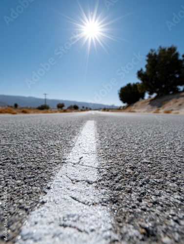 Wallpaper Mural Sunny road view with clear sky and distant trees Torontodigital.ca