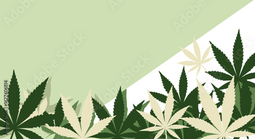 Cannabis leaves in pastel colors with a modern, abstract design. Silhouettes of marijuana foliage on a pale green background.