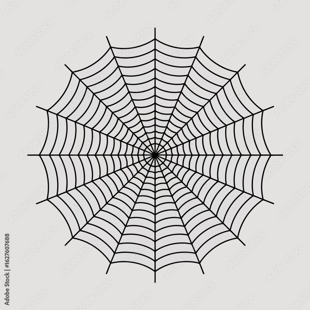 Fototapeta premium spiderweb, web, design, illustration, vector, graphic, blackandwhite, spider, creepy, Halloween, nature, pattern, spooky, delicate, intricate, artwork, webdesign, creepycrawly, horror, natureart, mini