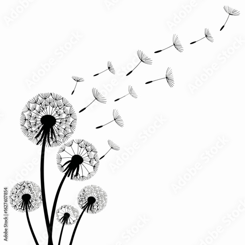 dandelion, seeds, flower, vector, design, illustration, nature, blackandwhite, botanical, plant, wind, dandelionart, seedblowing, graphic, minimalist, natural, wildflower, growth, organic, floatingsee