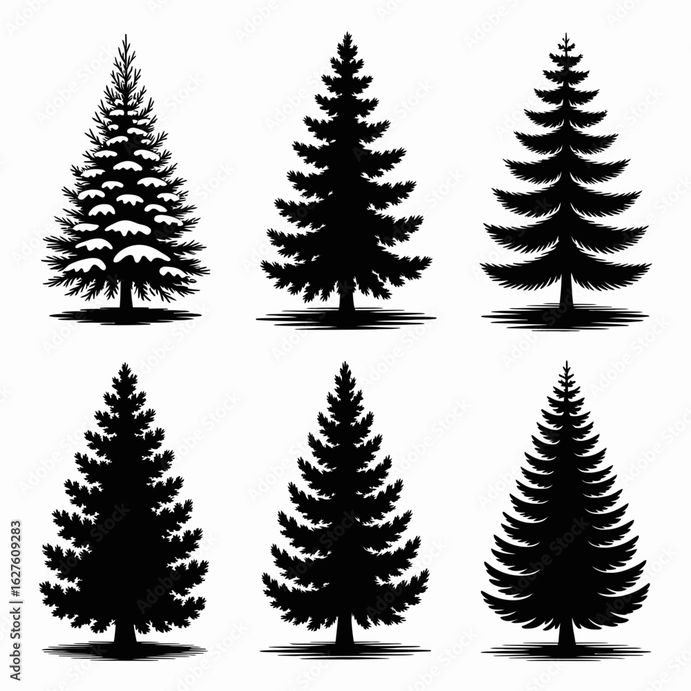 Obraz premium pine, tree, vector, illustration, nature, silhouette, conifer, forest, design, botanical, blackandwhite, evergreen, natureart, plant, outdoors, treeart, landscape, wood, decoration, seasonal, natureil