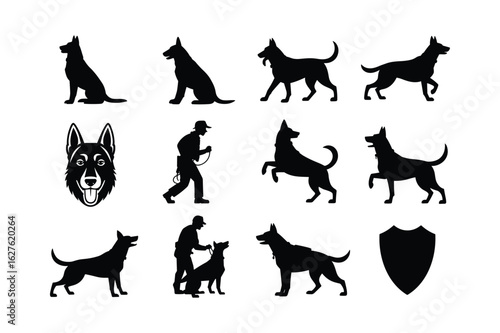 German Shepherd dog poses and handler silhouettes leash
