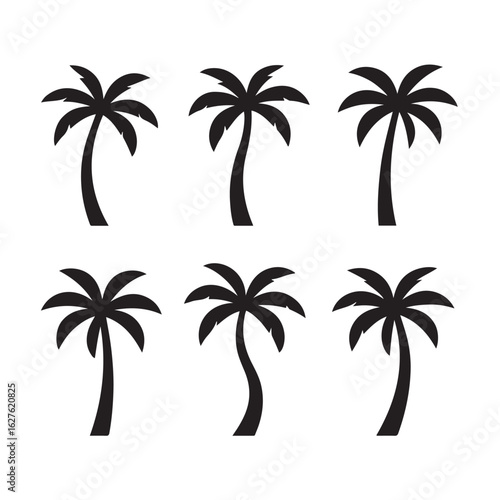 Collection of six black silhouette palm trees on a white background tropical nature