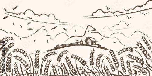 Autumn rural landscape, farm and harvest, wheat field, ears of wheat, vector drawing