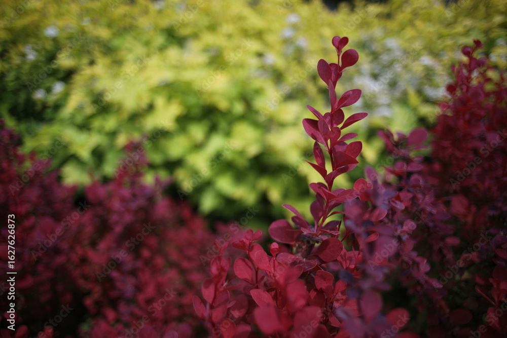 Obraz premium Instant Nostalgia Under the Sky