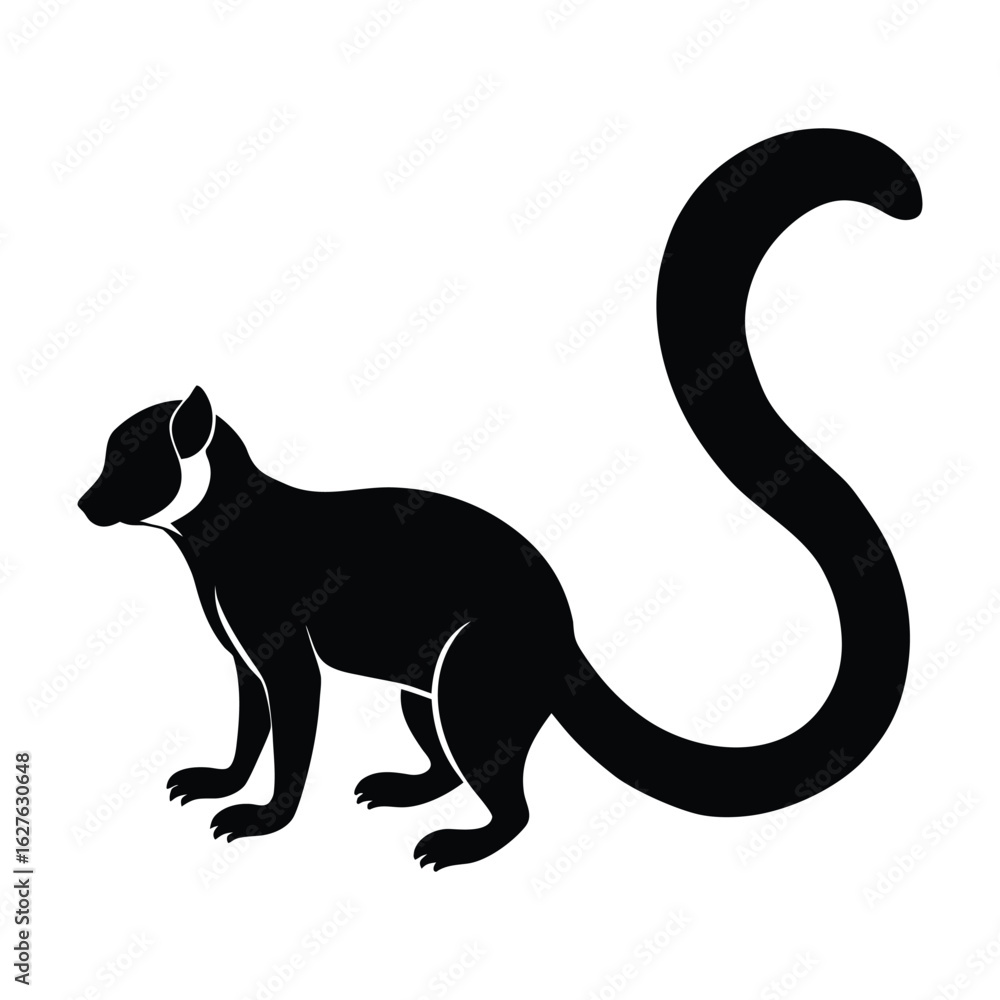 Obraz premium Black silhouette of a lemur with a long curved tail on white background animal