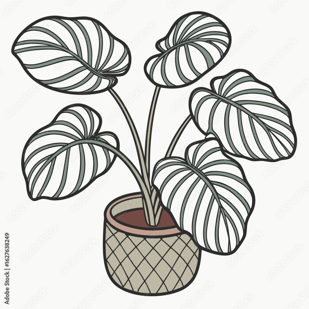 Obraz premium Stylized alocasia plant in a decorative pot isolated on white background