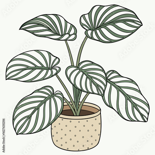 Stylized houseplant with striped leaves in a decorative pot isolated on white background