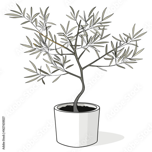 Stylized olive tree in a white pot isolated on white background