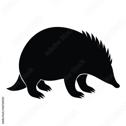Black silhouette of an echidna walking on a white background mammal animal