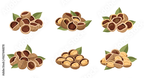 Collection of assorted nuts with green leaves in various piles natural healthy snack food ingredient
