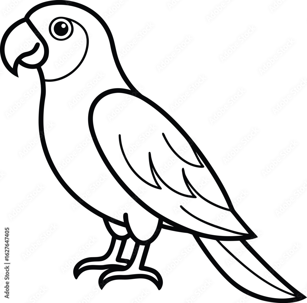 Fototapeta premium Parrot isolated on white background, a simple line drawing for coloring book