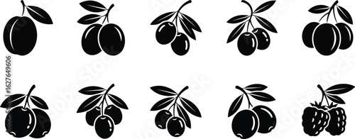Vector art of a set of olives and plums