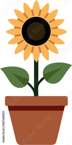 A sunflower with green leaves sits nicely in a brown pot with a transparent background