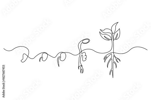 Continuous one line drawing of the step by step process of a plant growing from seed to sprout in doodle style
