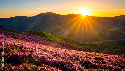 Wallpaper Mural Blooming Field with Mountains at Sunset Landscape Torontodigital.ca