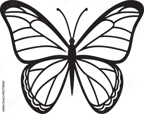 Detailed black and white butterfly with symmetrical wings insect lepidoptera