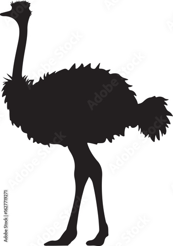 emu bird silhouette vector,Ostrich vector illustration
