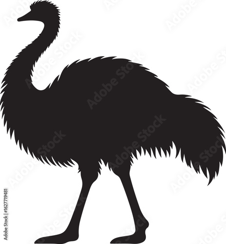 emu bird silhouette vector,Ostrich vector illustration
