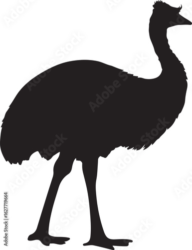 emu bird silhouette vector,Ostrich vector illustration
