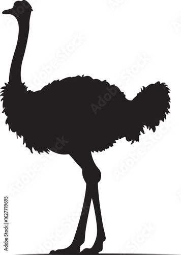 emu bird silhouette vector,Ostrich vector illustration
