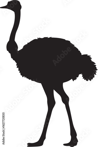 emu bird silhouette vector,Ostrich vector illustration
