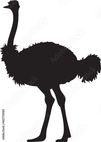 emu bird silhouette vector,Ostrich vector illustration
