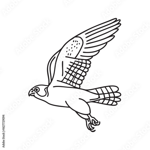 Doodle illustration of a falcon diving swiftly toward its prey