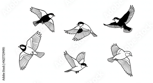 Bird icon