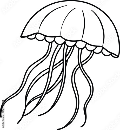 Illustration of a jellyfish with tentacles isolated on white background