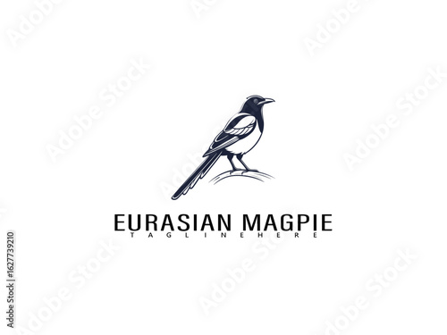 Sophisticated black and white Eurasian Magpie perched on a branch vector illustration, elegant logo perfect for premium nature-themed branding, wildlife products, and conservation identity kits.

