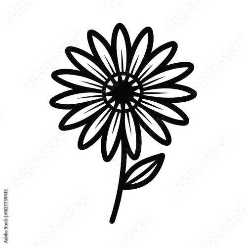 romaine chamomile flower illustration