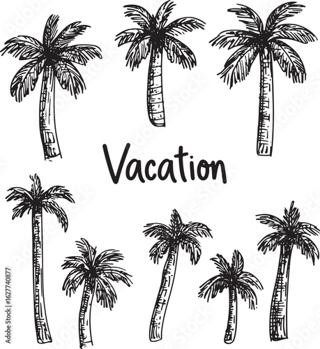 set of vintage hand drawn vector palm trees and word vacation
