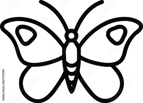 butterfly graceful flier
