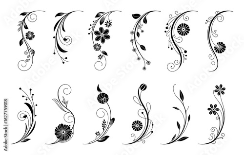 Black floral flourishes and decorative elements ornament swirl